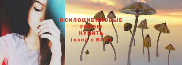скорость Зерноград
