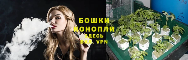 MESCALINE Заводоуковск