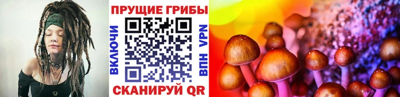 Псилоцибиновые грибы Magic Shrooms  Купить закладки  Можайск 