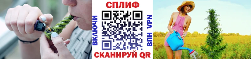 Бошки Шишки ГИДРОПОН  Купить где  Можайск 